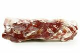 Free-Standing Royal Flamingo Agate (Howardite) - Nevada #371212-1